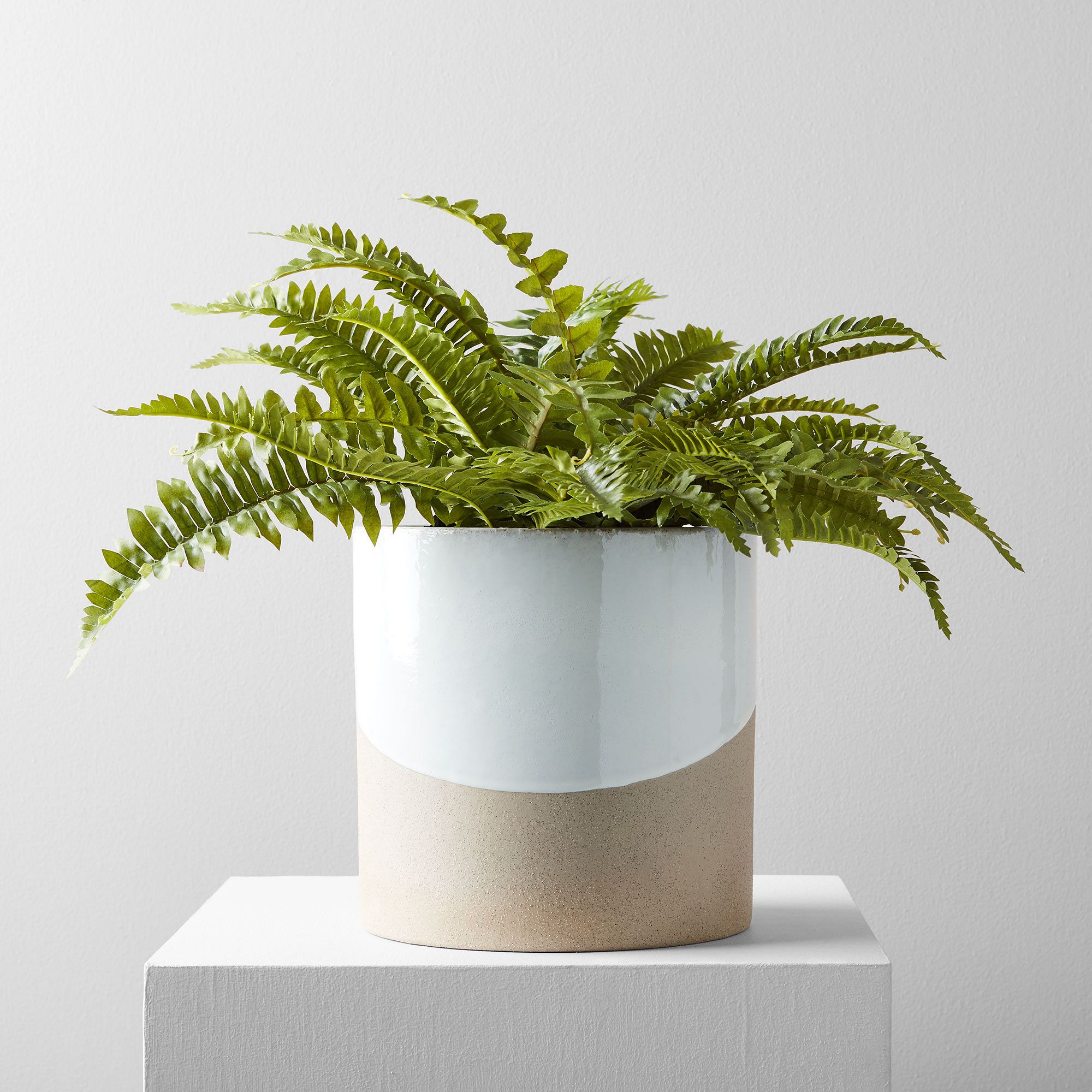 Faux Potted Fern